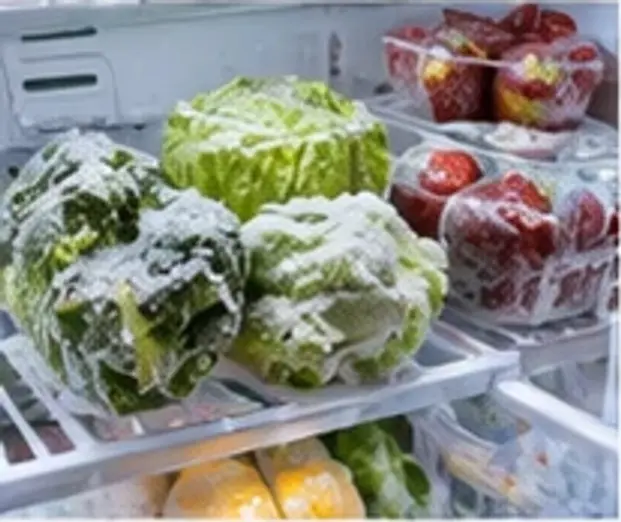 Mr. Fixer technician: refrigerator repair